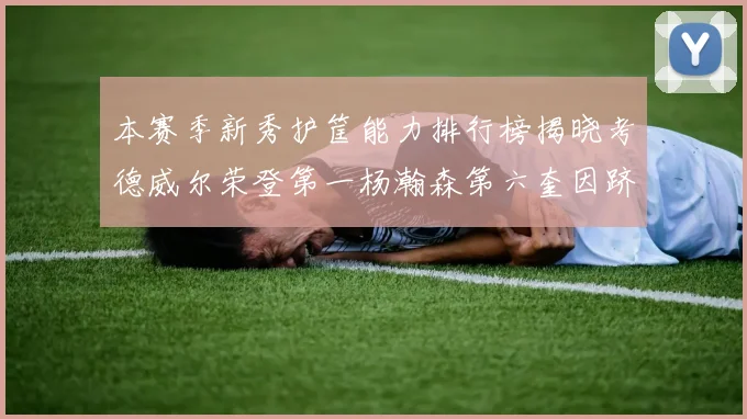 本赛季新秀护筐能力排行榜揭晓考德威尔荣登第一杨瀚森第六奎因跻身前十