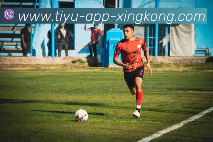 星空体育平台生态图